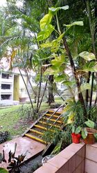 Braddell View (D20), Apartment #480053231